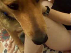 Sex with a kinky girl and hot dogs